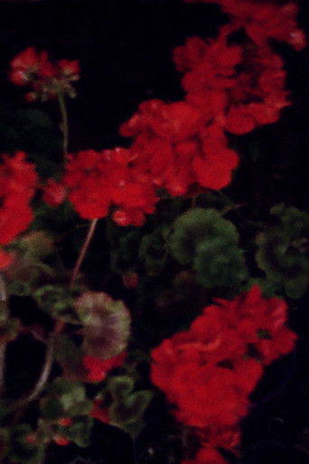 Purkyně's Dusk poster