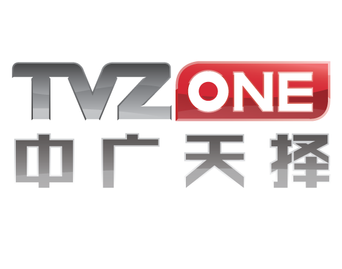 TVZone Media