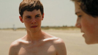 The Wise Kids (2011)