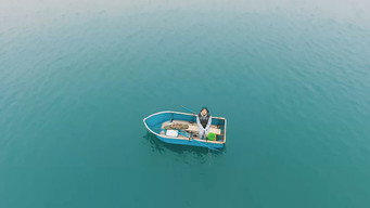The Crazy Kelp (2017)