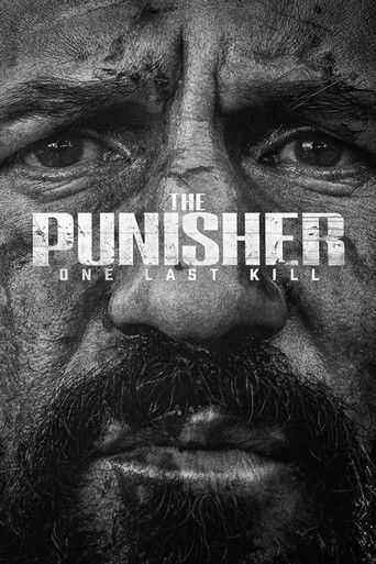 The Punisher: One Last Kill