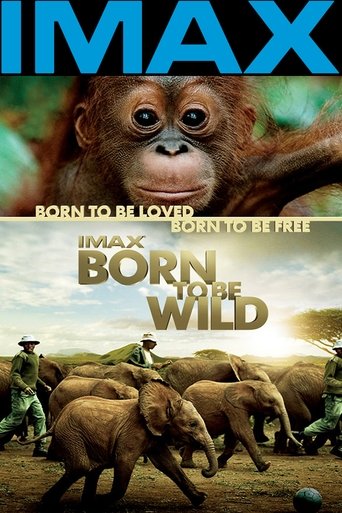 Born to Be Wild (2011) YIFY