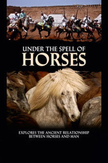 Under the Spell of Horses poster