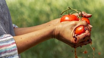 Gods of Food - S1E01