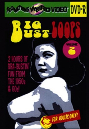 Poster of Big Bust Loops Volume 2