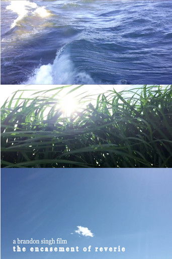 The Encasement of Reverie poster