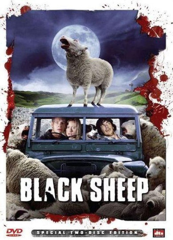 Black Sheep