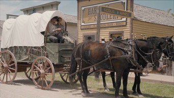Sod and Stubble (2025)