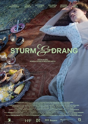 Poster of Sturm & Drang