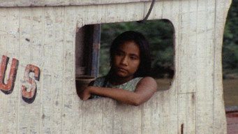 Iracema media image