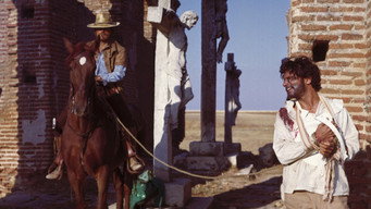 #7 The Mercenary