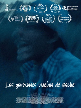 Los gorriones vuelan de noche (2025)