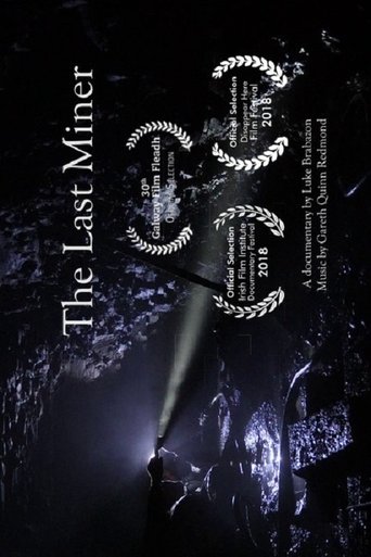 poster The Last Miner