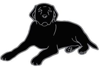 Black Dog Television