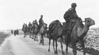 Caravane de chameaux (1897)