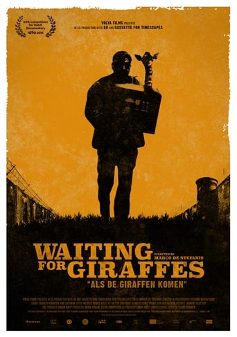 poster Waiting For Giraffes