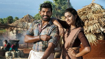#11 Yaanai