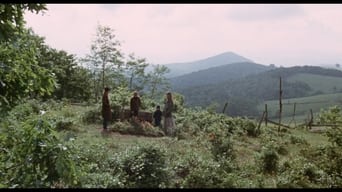 Where the Lilies Bloom (1974)