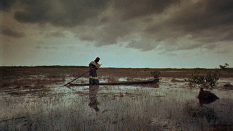 #7 Wind Across the Everglades