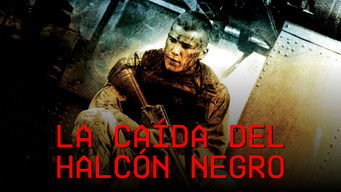 Galeria 5 - Black Hawk derribado