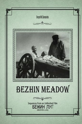 Bezhin Meadow: Sequences from an Unfinished Film (1968)