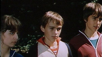Der Sturz (1982)