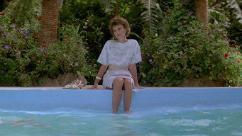 The Flight of the Phoenix (1984)