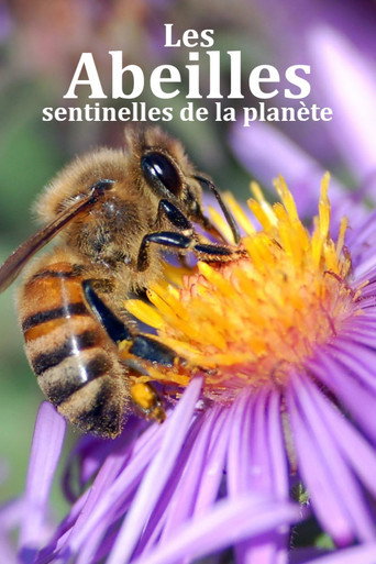 Les abeilles, sentinelles de la planète