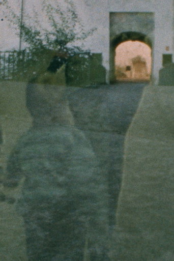 I Am Not There (2017)