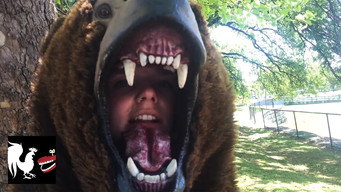 Bear Dance