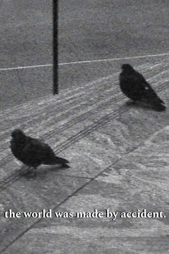 the world was made by accident. (2023)