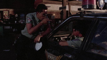 #10 Highway Patrolman