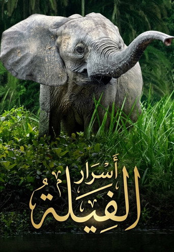 أسرار الفيلة