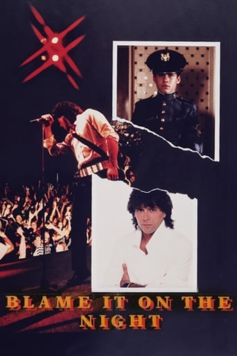 Poster of Blame It on the Night