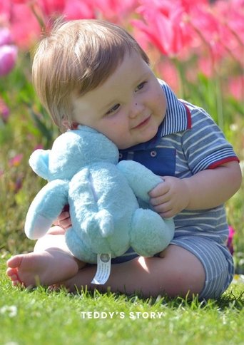 Teddy's Story (2015)