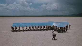Cabeza de Vaca (1991)