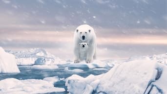 #3 Polar Bear