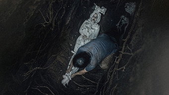 Call of The Dead (2025)