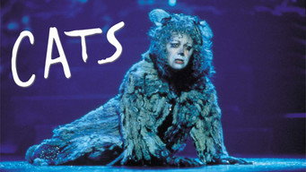 #6 Cats