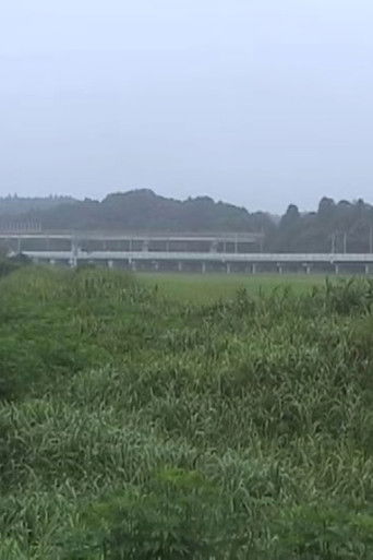 Narita Morning poster