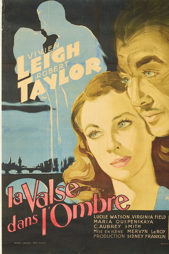 La Valse dans l'ombre - affiche officiel