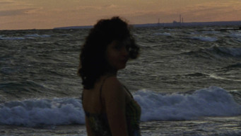 Escena 9 de Willow World