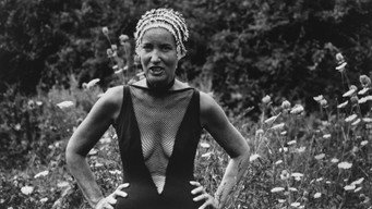 Сірі сади (1975)