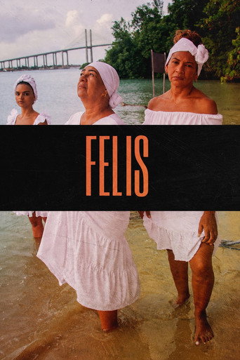 Felis