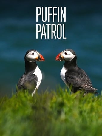 Poster för Puffin Patrol