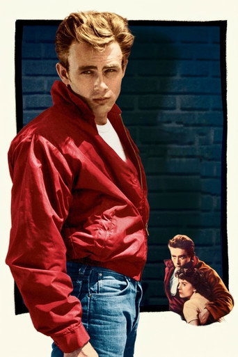 Rebel Without a Cause