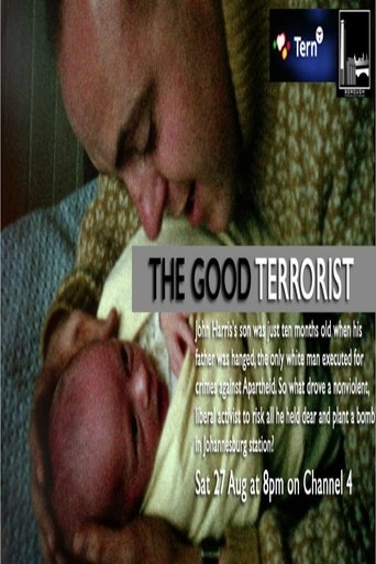 Poster of The Good Terrorist