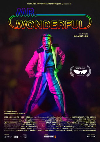 Mr. Wonderful