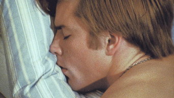 Плоть (1968)