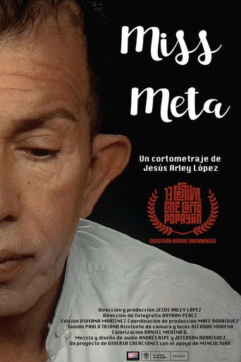 Miss Meta poster